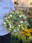 IMG_1528.jpeg