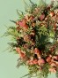 IMG_1489.jpeg