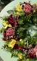 IMG_0432.jpeg