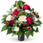 98447A87-9FE1-425E-A3BD-451B8B44E981.png
