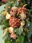 IMG_2150.jpeg