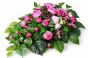 7E9F2B85-42AC-4F54-AF0B-AFF3FE379865.png
