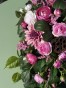 IMG_2159.jpeg