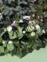 IMG_2190.jpeg