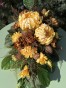 IMG_2210.jpeg