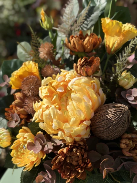 IMG_2215.jpeg
