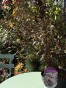 IMG_2259.jpeg
