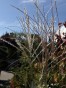 IMG_2302.jpeg