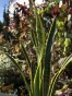 IMG_2320.jpeg