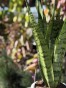 IMG_2328.jpeg