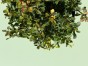 IMG_3151.jpeg