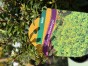 IMG_3152.jpeg