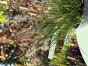 IMG_3159.jpeg