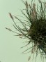 IMG_3160.jpeg