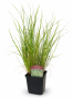 D4DA8EBF-35F7-4BDE-9249-E0A51B824247.png