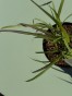 IMG_3173.jpeg