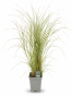 1E0F1C5A-5DBD-41F5-8CD2-5934DEDDB252.png
