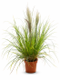 FC7C24AB-8287-430D-A8E9-6C4615915143.png