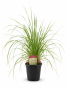 67E8149F-3CF2-4BF3-B554-3E861B3579F0.png