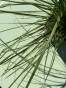 IMG_3227.jpeg