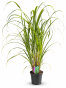 931AB111-70A1-4DB6-8F65-5493E17D285A.png