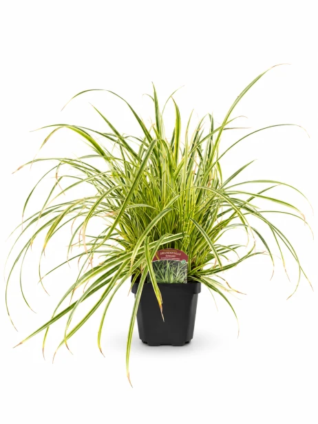 030E4685-D0E3-4FD3-B98F-1504EAFAAC89.png