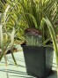 IMG_3255.jpeg