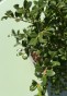 IMG_3329.jpeg