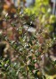 IMG_3330.jpeg