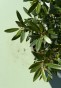 IMG_3352.jpeg