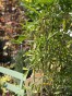 IMG_3299.jpeg