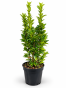 7573D73A-AD59-4437-B82D-C9FFB1B95617.png