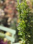 IMG_3306.jpeg