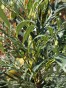 IMG_3320.jpeg