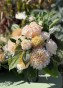 IMG_3581.jpeg