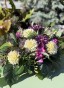 IMG_3598.jpeg
