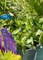 IMG_3662.jpeg