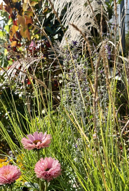 IMG_3665.jpeg