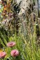 IMG_3665.jpeg