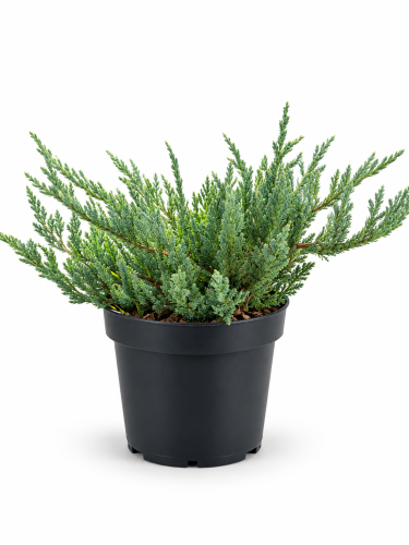 6B764023-6C5E-40DC-AE12-0017B17D0CC9.png