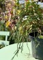 IMG_4457.jpeg