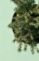 IMG_4437.jpeg