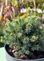 IMG_4433.jpeg