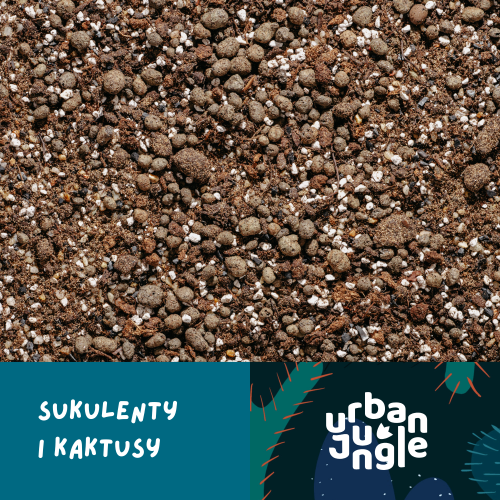 Sukulenty.png