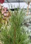 FullSizeRender.jpeg