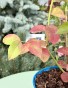 IMG_5032.jpeg