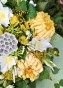 IMG_5103.jpeg